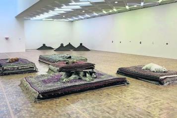 INBAL se compromete a nunca más usar animales en exposiciones