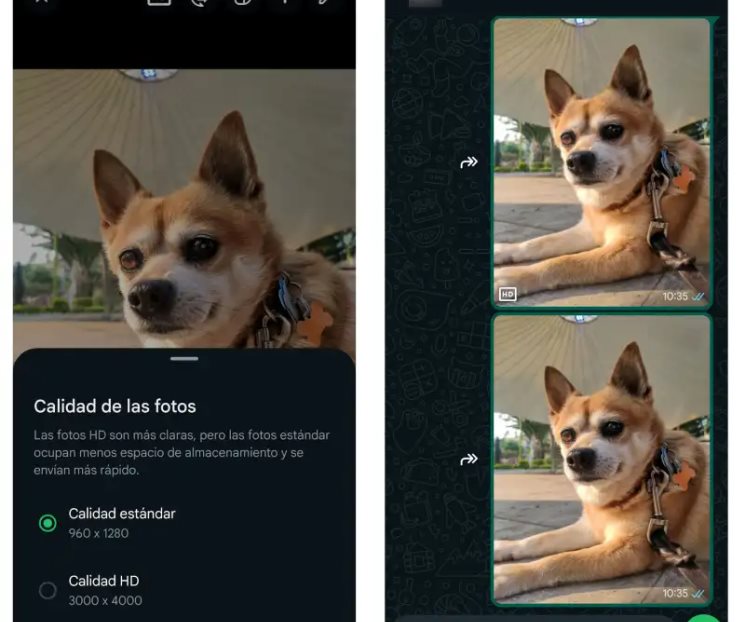 WhatsApp para iPhone se actualiza con función clave para tus fotos