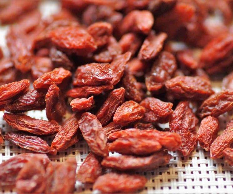 Bayas de goji, alimento poco conocido, pero muy beneficioso