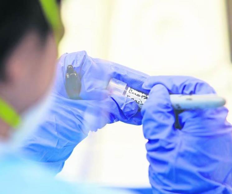 No existen riesgos de contagio por H5N2: Ssa No existen riesgos de contagio por H5N2: Ssa