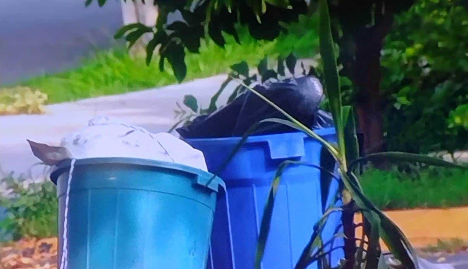 Vecinos de la Colonia Provileon San Bernabé, encontraron el macabro hallazgo de restos humanos, que fueron abandonados en dos recipientes de plástico que contienen entre dos y tres cuerpos desmembrados.