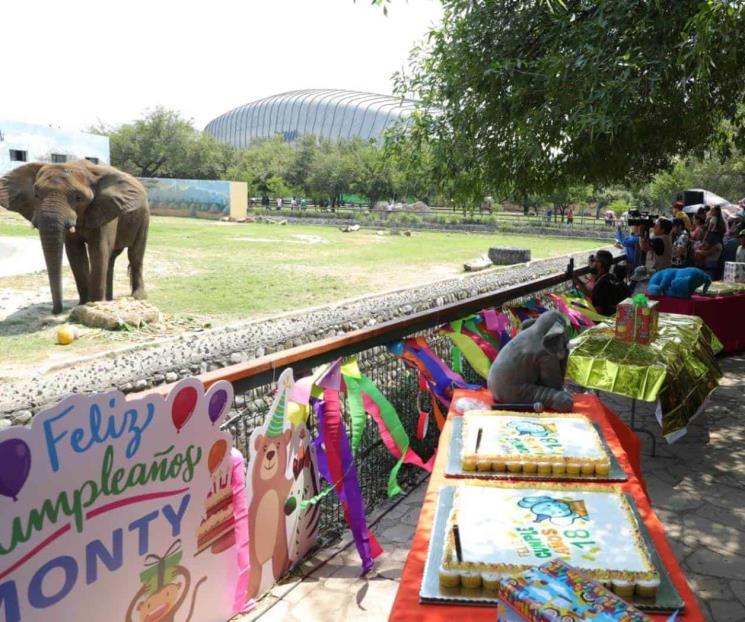 Celebran regios los 18 años de elefante Monty en La Pastora Celebran regios los 18 años de elefante Monty en La Pastora
