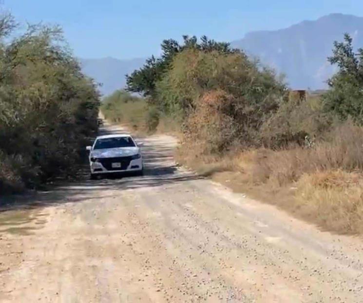 Asesinan a jóvenes y cuelgan sus cuerpos en árbol de Linares