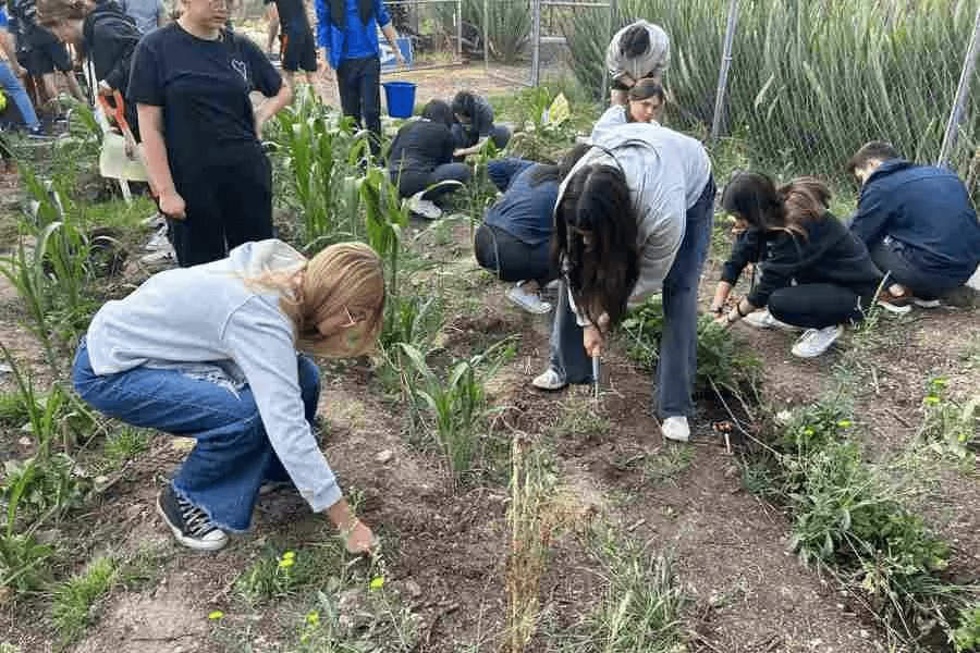 Estudiantes de PrepaTec en pro del cultivo ancestral