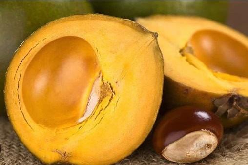 La fruta inca que repara tus células y previene enfermedades