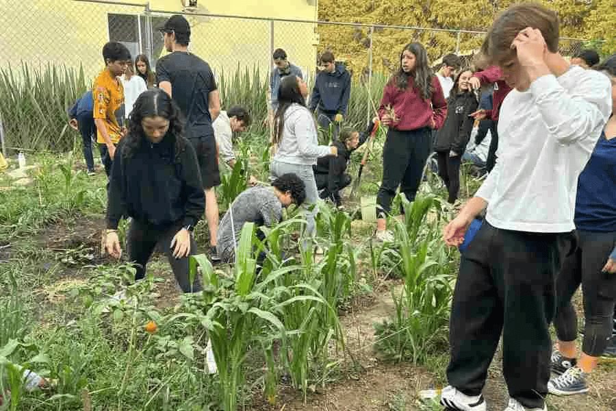 Estudiantes de PrepaTec en pro del cultivo ancestral Estudiantes de PrepaTec en pro del cultivo ancestral