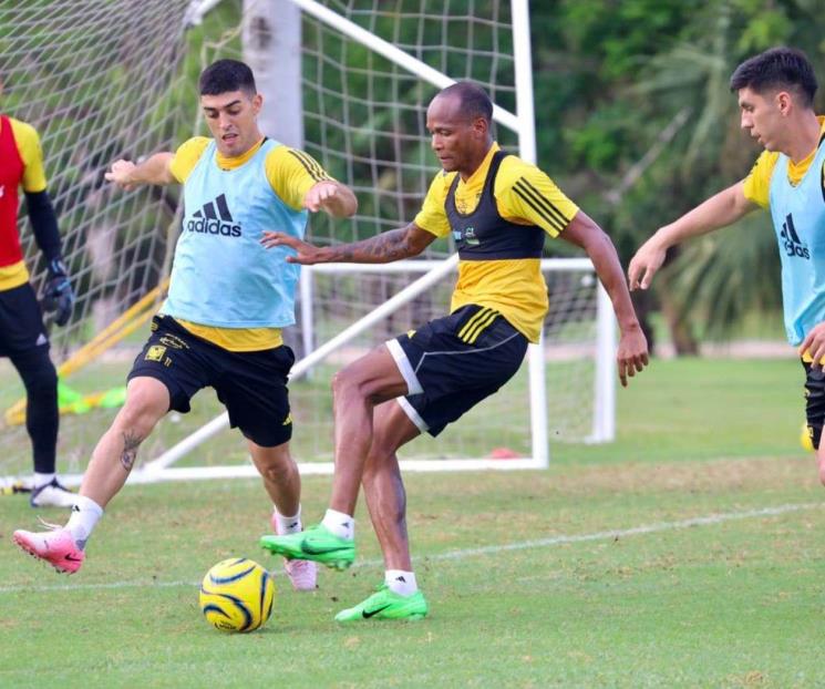 Ensayan Tigres definición en la Riviera Maya