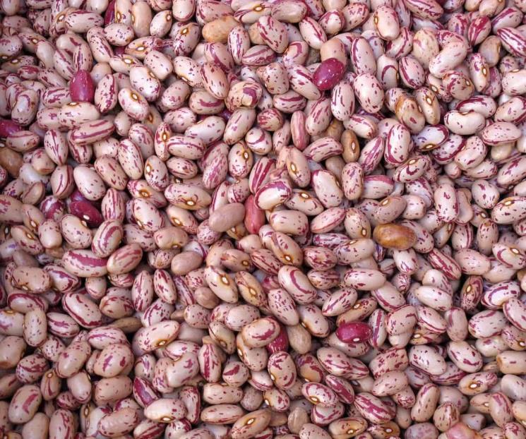 Imparables, las importaciones de maíz amarillo y frijol