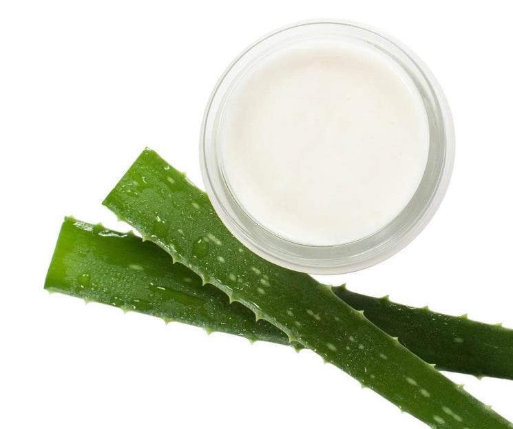 Propiedades y beneficios del aloe vera para la salud