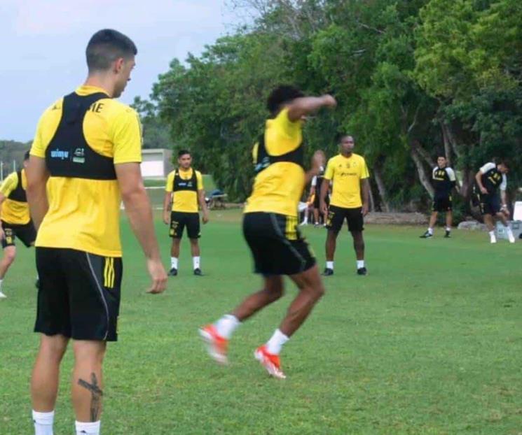 Trabajan Tigres la resistencia