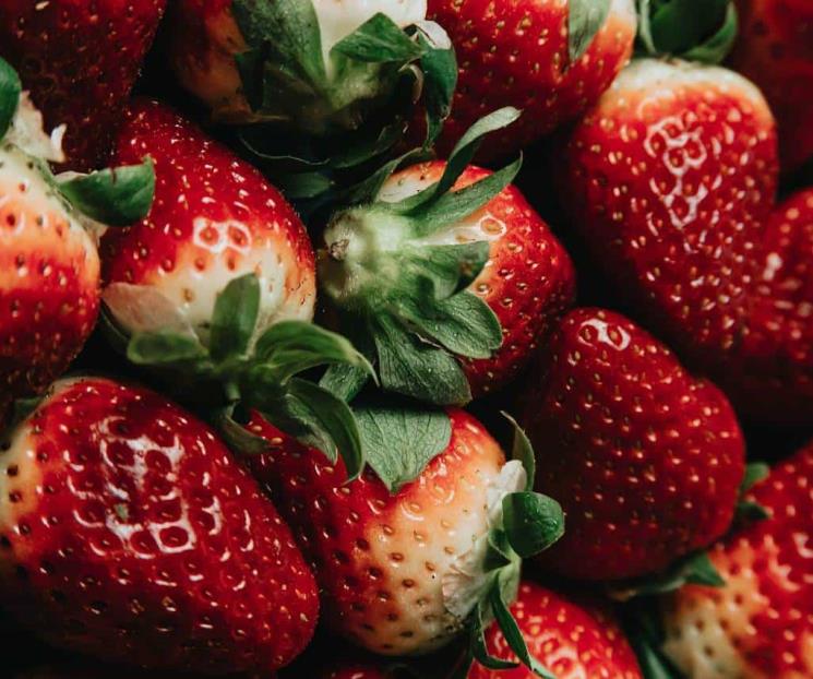 Alimentos ricos en elastina para rejuvenecer la piel