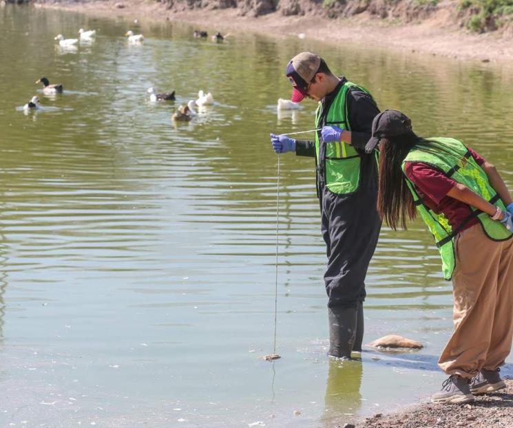 Pide Filo Verde que comunidad universitaria se convierta eco líder Pide Filo Verde que comunidad universitaria se convierta eco líder