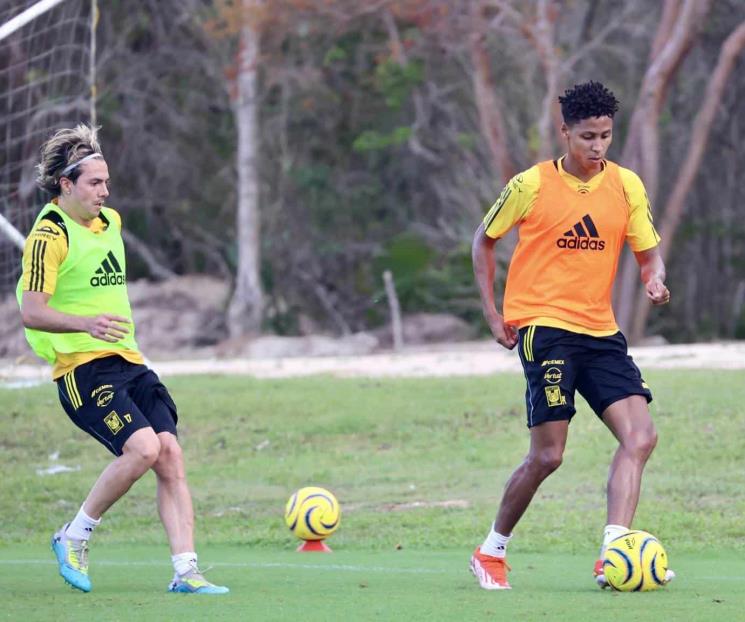 Goza Tigres de un plantel sano y alejado de las lesiones