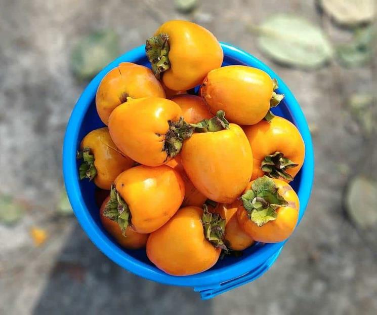 La fruta que ayuda a aliviar la resaca