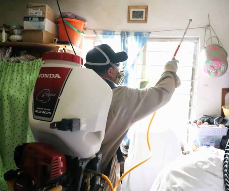 Intensifican las acciones para combatir el dengue