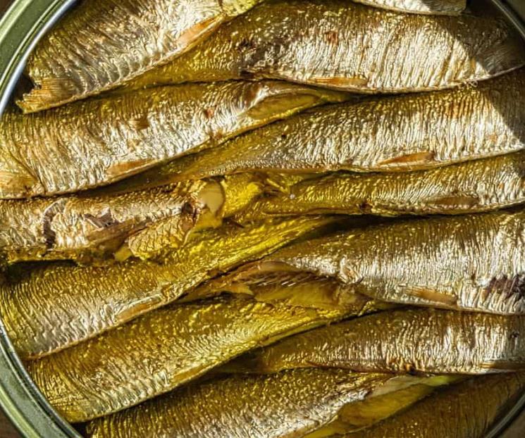 Las especies de pescados que prolongan la esperanza de vida