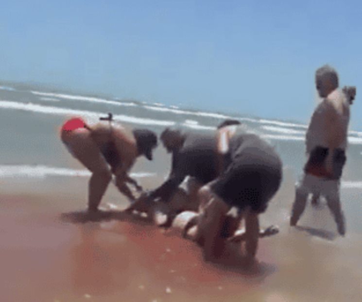 Ataca tiburón a cuatro personas en la Isla del Padre Ataca tiburón a cuatro personas en la Isla del Padre