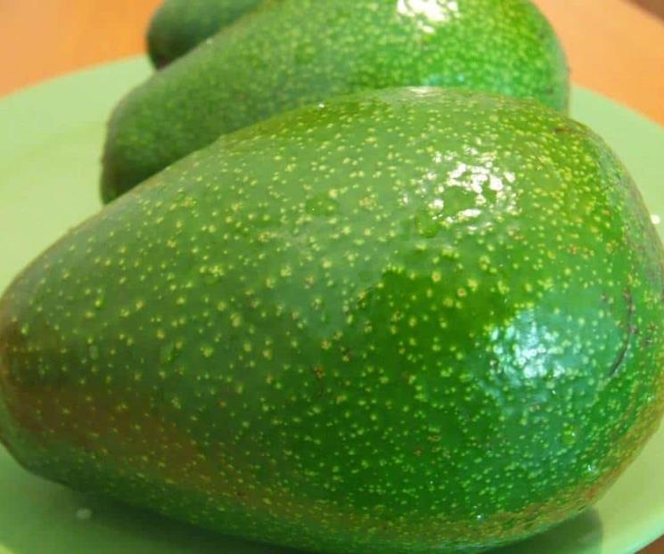 Alternativas de aceites sanos y nutritivos para reemplazar al oliva