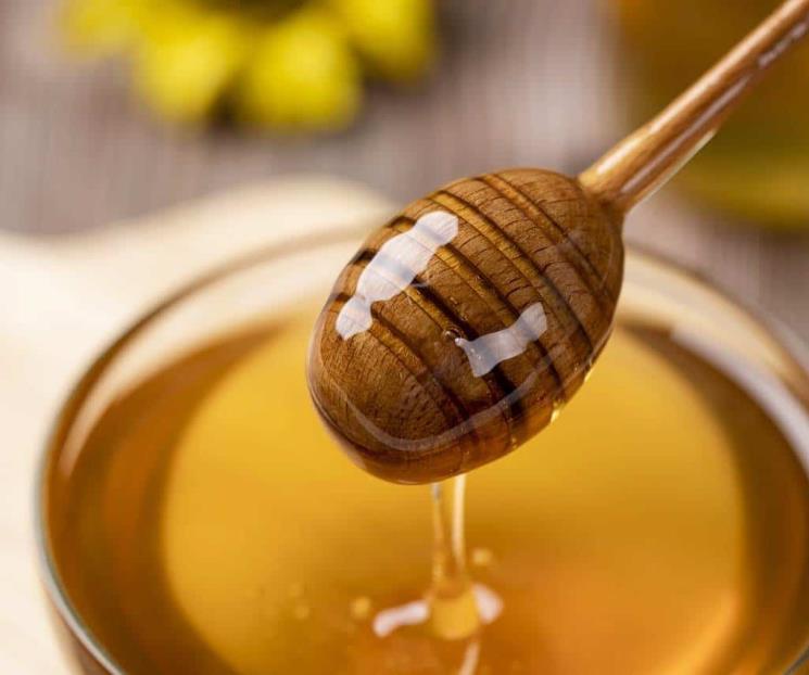 El alimento natural que podría reemplazar a los antibióticos El alimento natural que podría reemplazar a los antibióticos