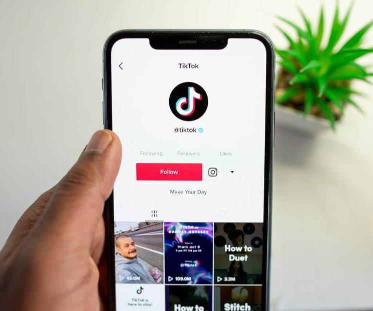 TikTok, más mexicanos quieren emprender con la plataforma