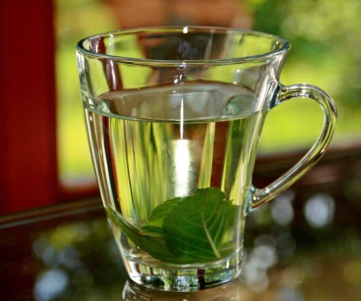 La hierba natural que alivia la congestión nasal y reduce la fiebre La hierba natural que alivia la congestión nasal y reduce la fiebre