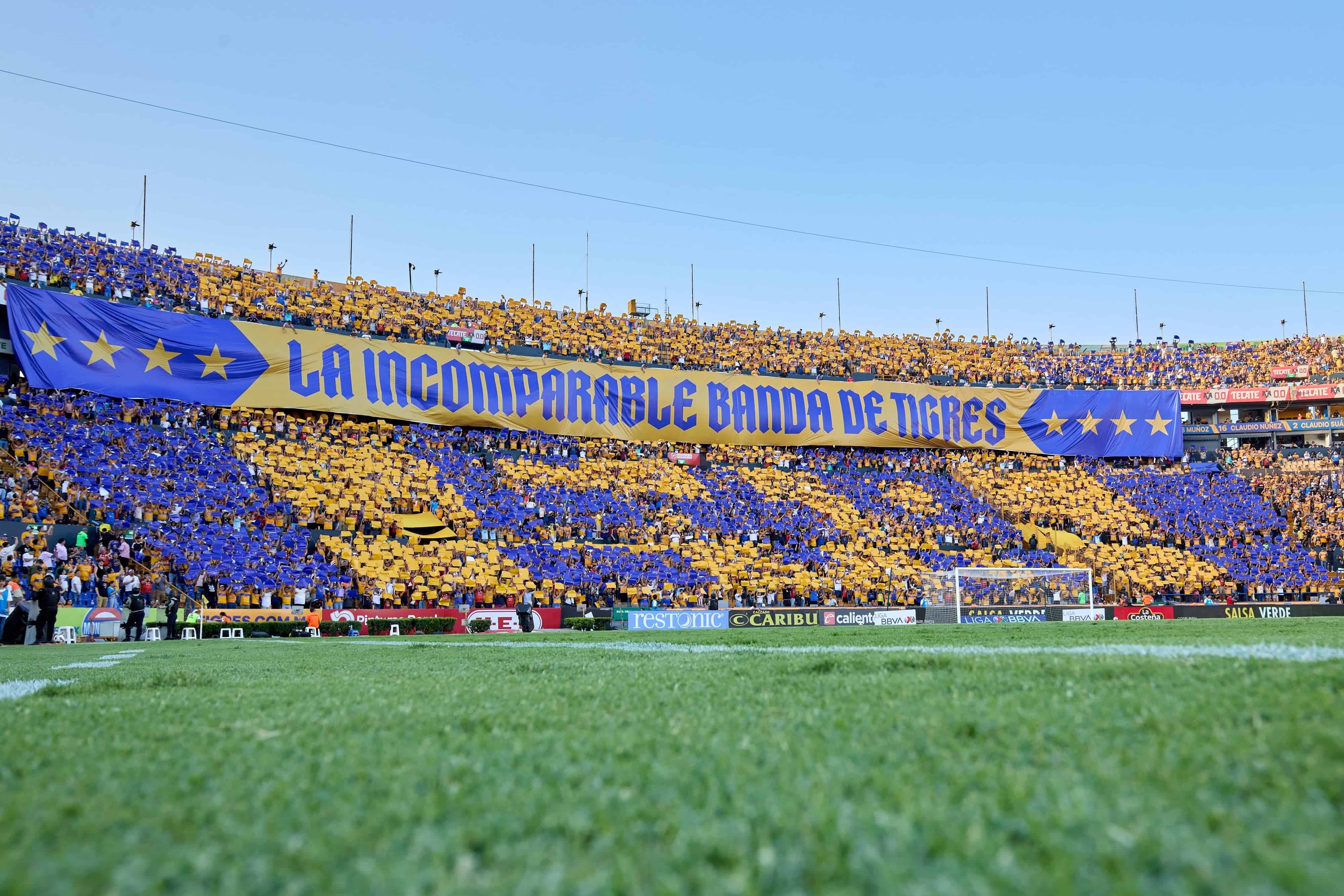 Mosaico Tigres.