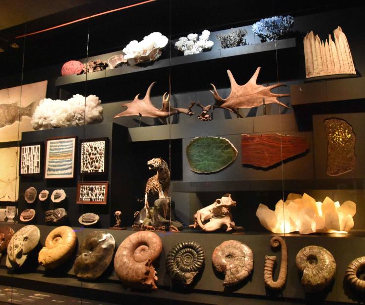 Anuncia Samuel apertura de La Milarca