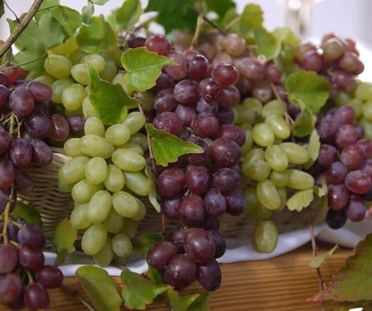 El alimento del campo mexicano que fortalece el corazón