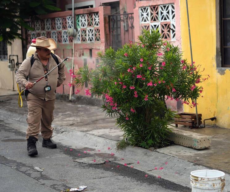 Aumentan 50% los casos de dengue en una semana en NL