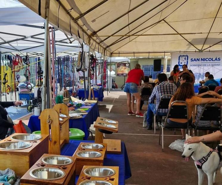 Atienden a más de 208 perros y gatos en jornada de esterilización