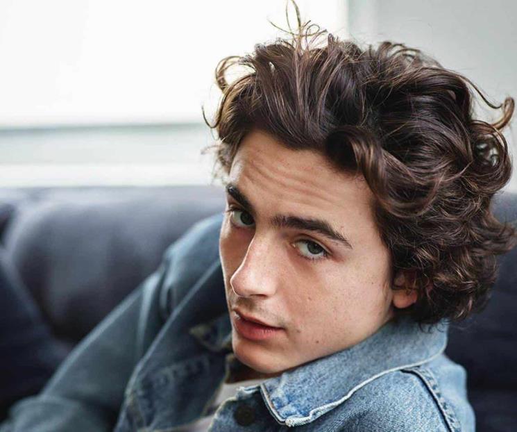 Timothée Chalamet protagonizará nueva película de A24