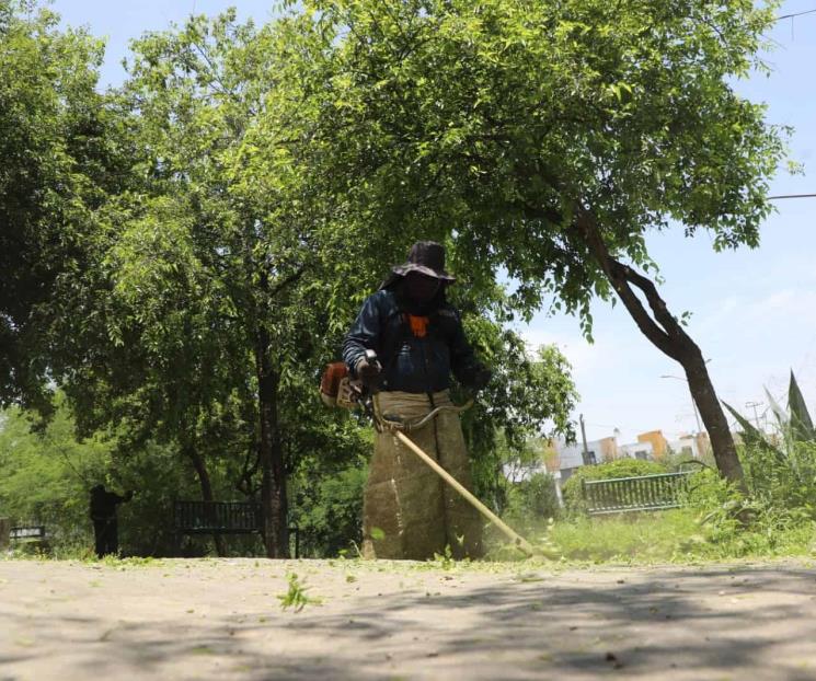 Intensifican en Escobedo retiro de maleza