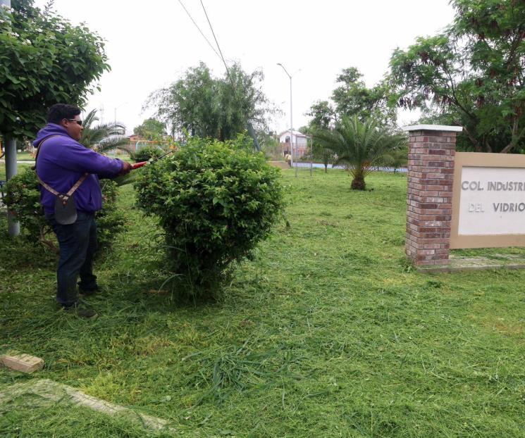Pone SN en marcha operativo contra el dengue