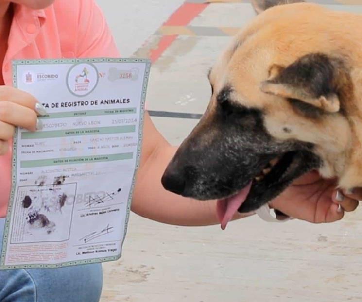 Invitan en Escobedo a tramitar actas de mascotas