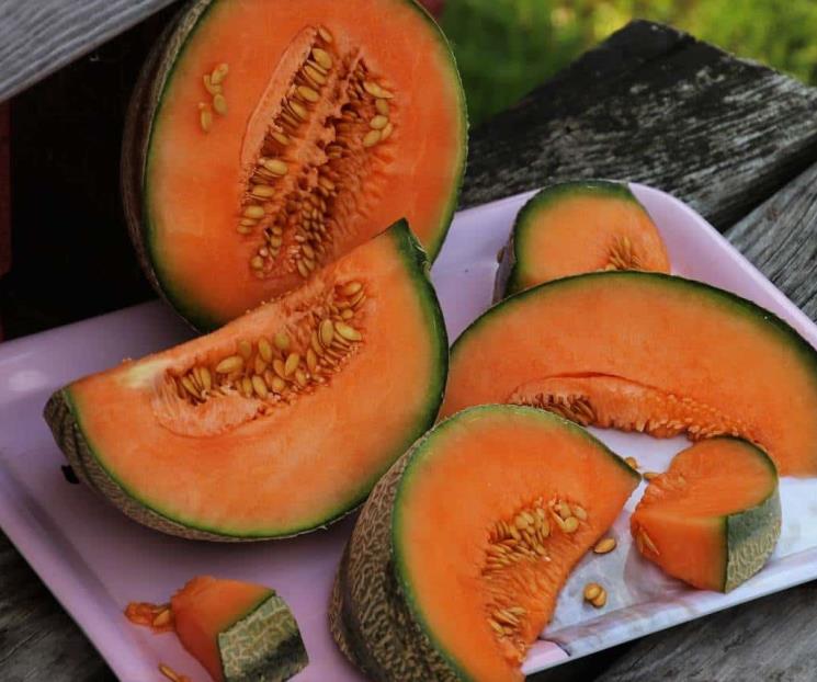 Conoce los asombrosos beneficios de comer melón en ayunas