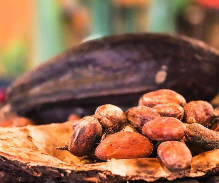 El delicioso superalimento que protege la audición