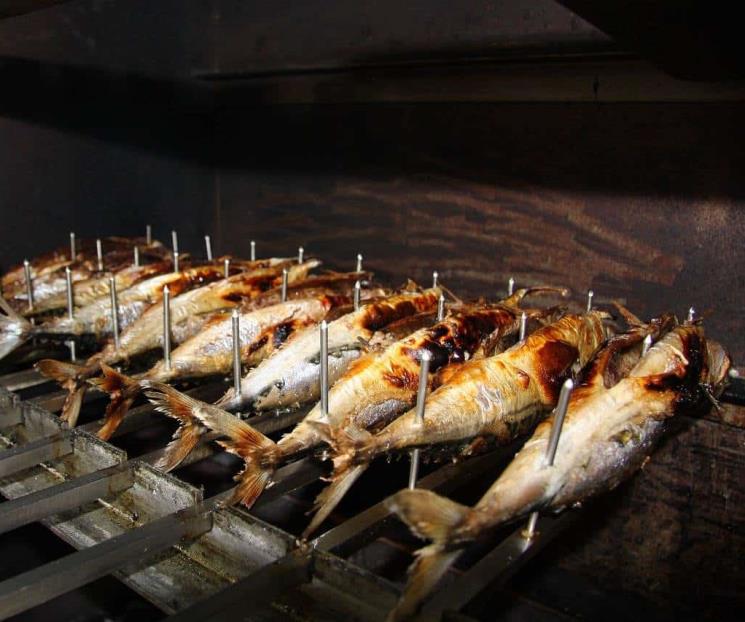 El tipo de pescado que ayuda a un rendimiento óptimo de las neuronas