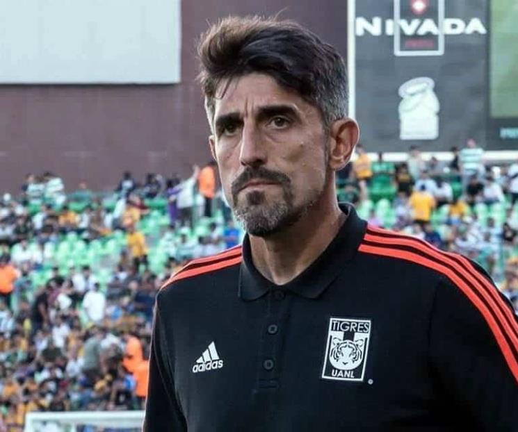 Tigres en la dirección que desea Paunovic