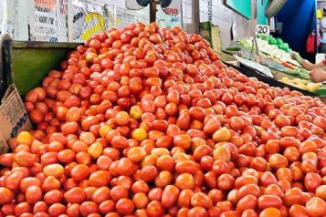 Sufren regios por aumento en precio de la canasta básica