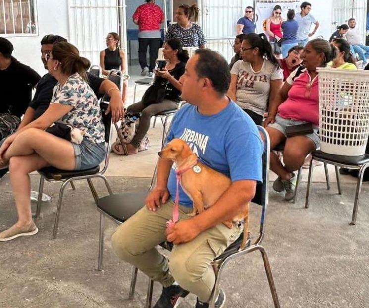 Esterilizan en García 8 mil mascotas Esterilizan en García 8 mil mascotas