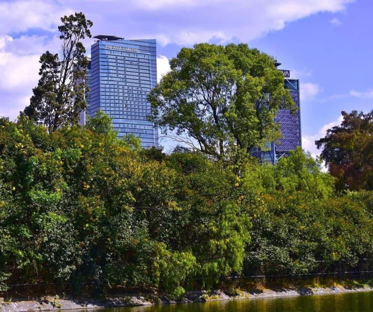 Proyecto de Chapultepec atraerá a 30 millones de visitantes: GCDMX Proyecto de Chapultepec atraerá a 30 millones de visitantes: GCDMX