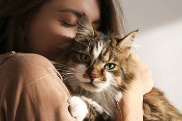 &iquest;De qu&eacute; forma ven los gatos a las personas?