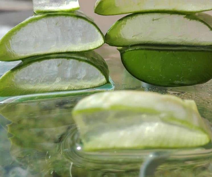 La hierba medicinal que alivia la inflamación de las várices