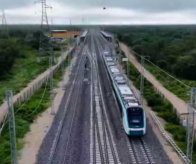 Reportaje alemán critica el Tren Maya por contaminación Reportaje alemán critica el Tren Maya por contaminación