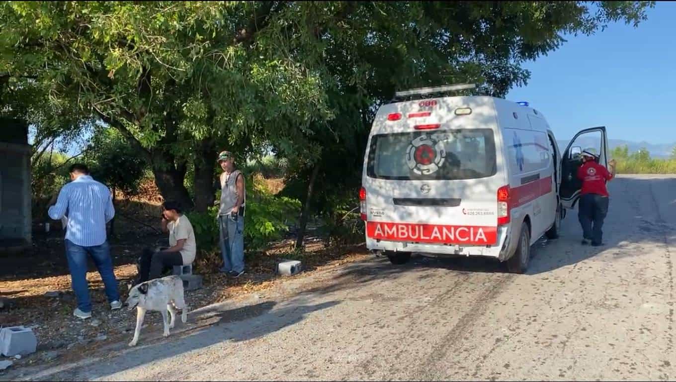 Un tráiler tipo nodriza que transportaba diez automóviles nuevos, se impactó contra una casa en construcción ubicada en el municipio de Montemorelos.