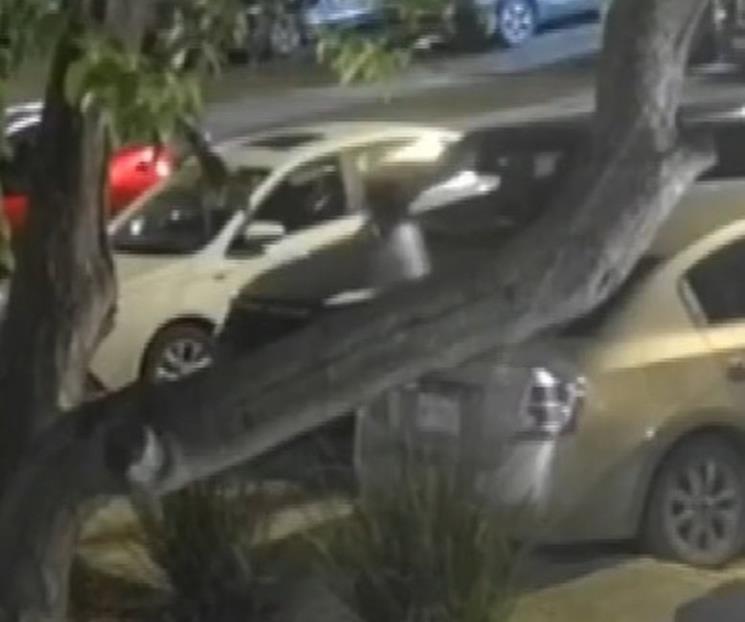 Buscan a ladrones de autopartes Buscan a ladrones de autopartes