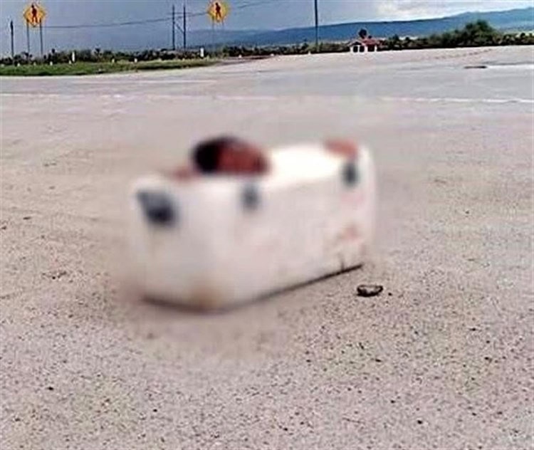 imagen-cuerpo imagen-cuerpo