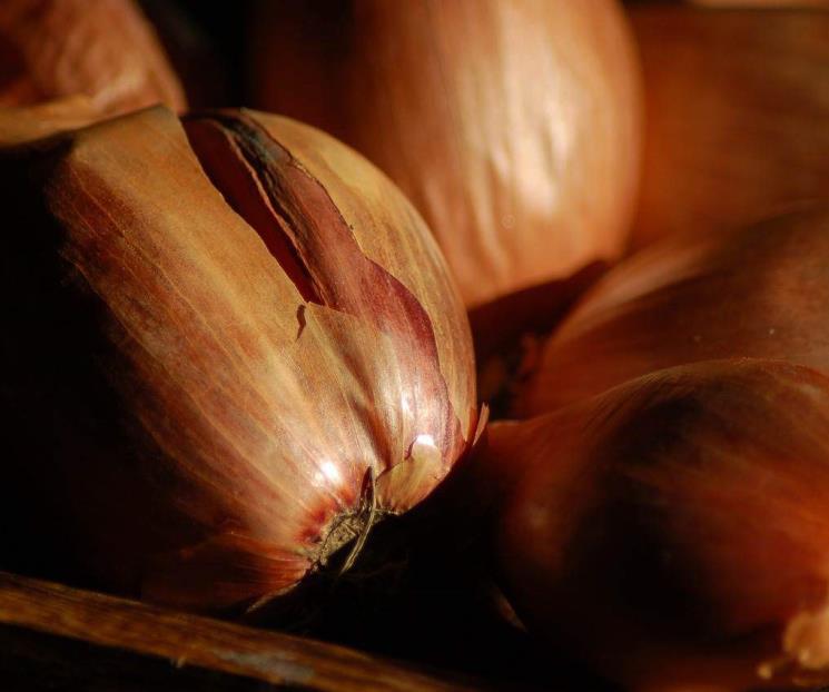 El echalotte fortalece huesos, produce energía y ayuda a coagulación El echalotte fortalece huesos, produce energía y ayuda a coagulación