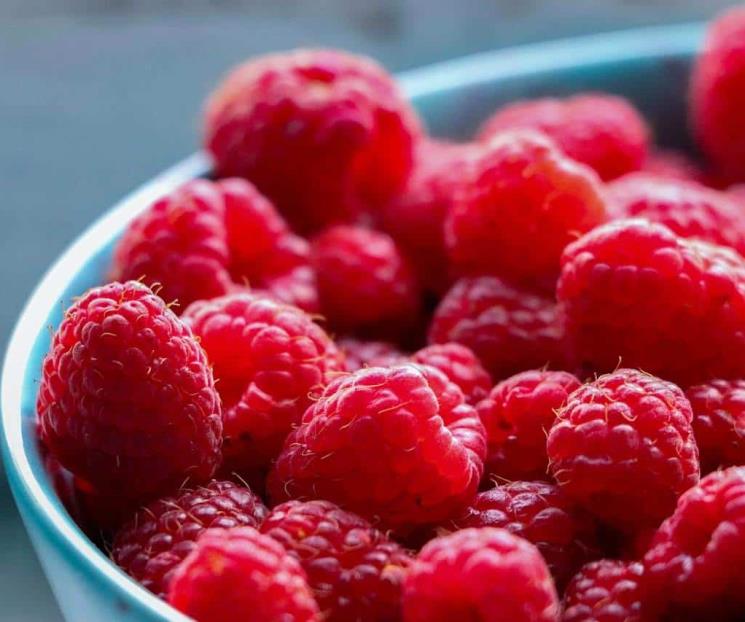 Neuróloga recomienda comer este alimento para fortalecer a memoria Neuróloga recomienda comer este alimento para fortalecer a memoria