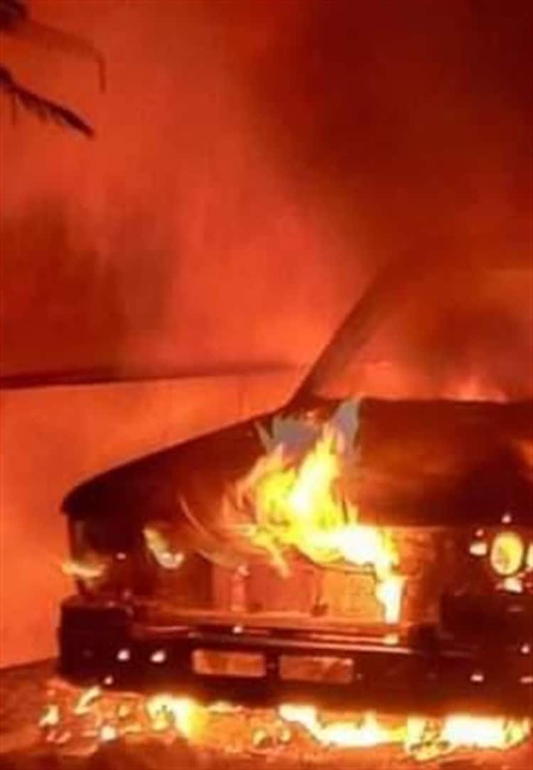 imagen-cuerpo imagen-cuerpo